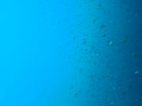 ファイル 1057-2.jpg
