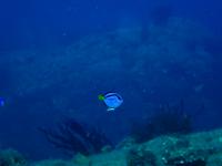 ファイル 2335-5.jpg