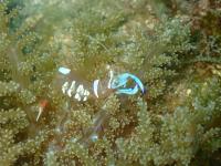 ファイル 2427-3.jpg