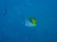 ファイル 2490-5.jpg