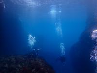 ファイル 2506-1.jpg