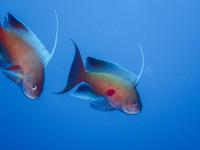 ファイル 2521-5.jpg