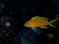 ファイル 2523-5.jpg