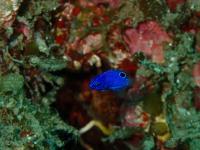 ファイル 2540-3.jpg