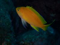 ファイル 2541-5.jpg