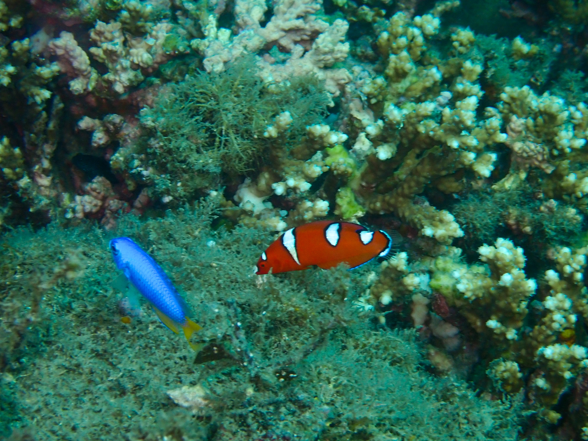 2540-4.jpg