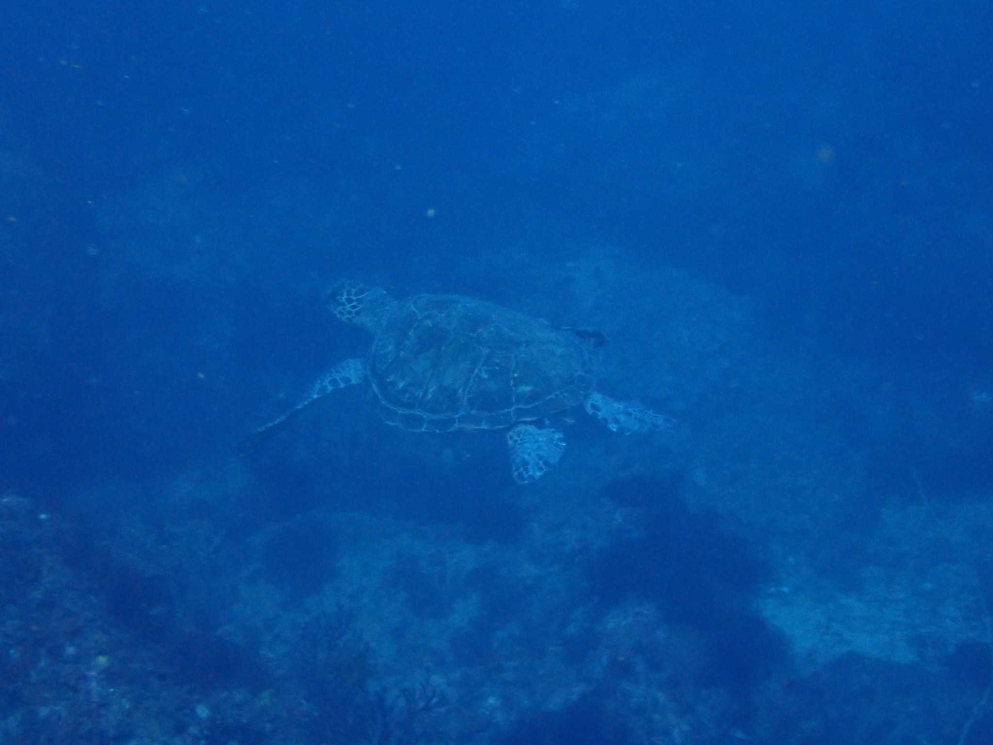 2544-5.jpg